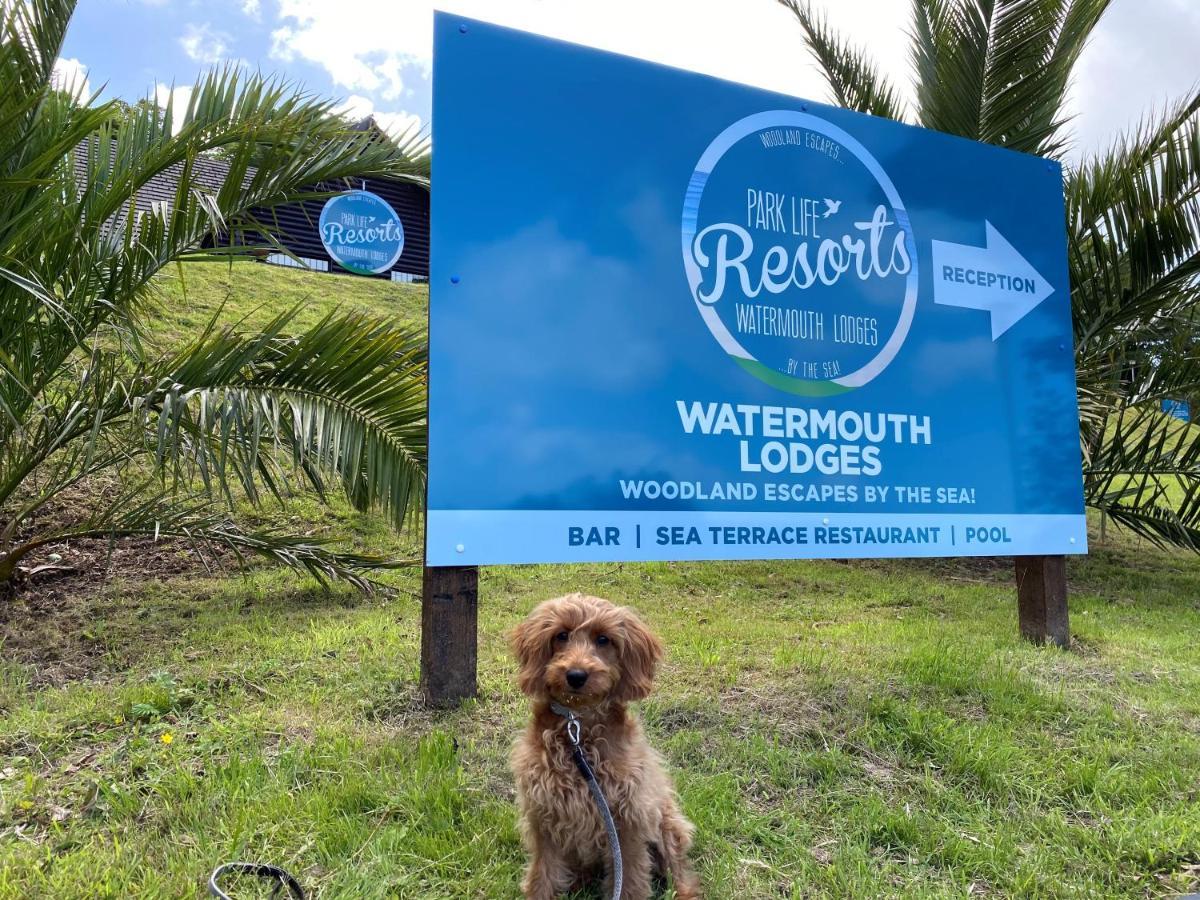 Watermouth Lodges Илфракомб Екстериор снимка
